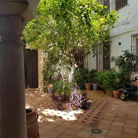 Casa Patio Suenos De Daury I * コルドバ